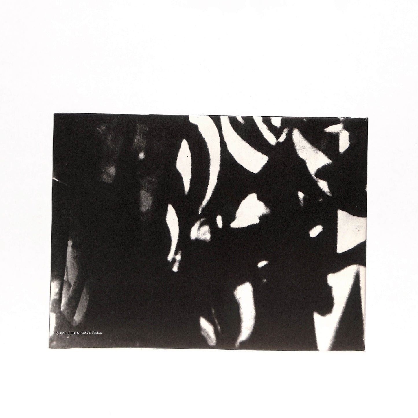 Galactic Zoo Dossier