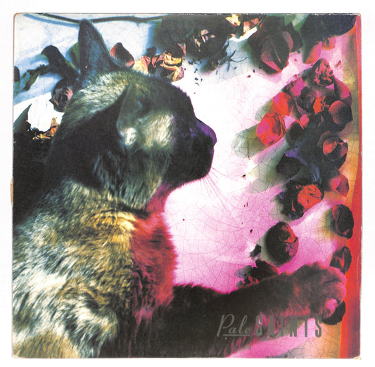 The Comforts Of Madness