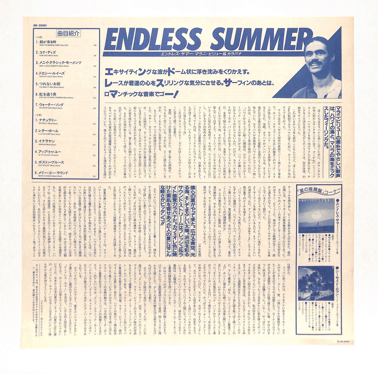 Endless Summer