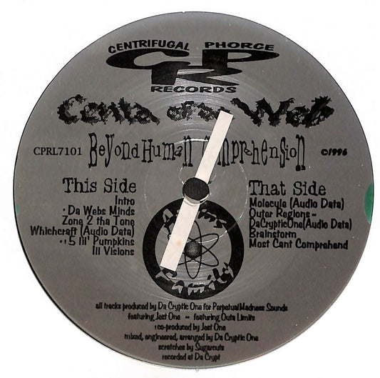 Beyond Human Comprehension