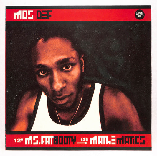 Ms. Fat Booty / Mathematic