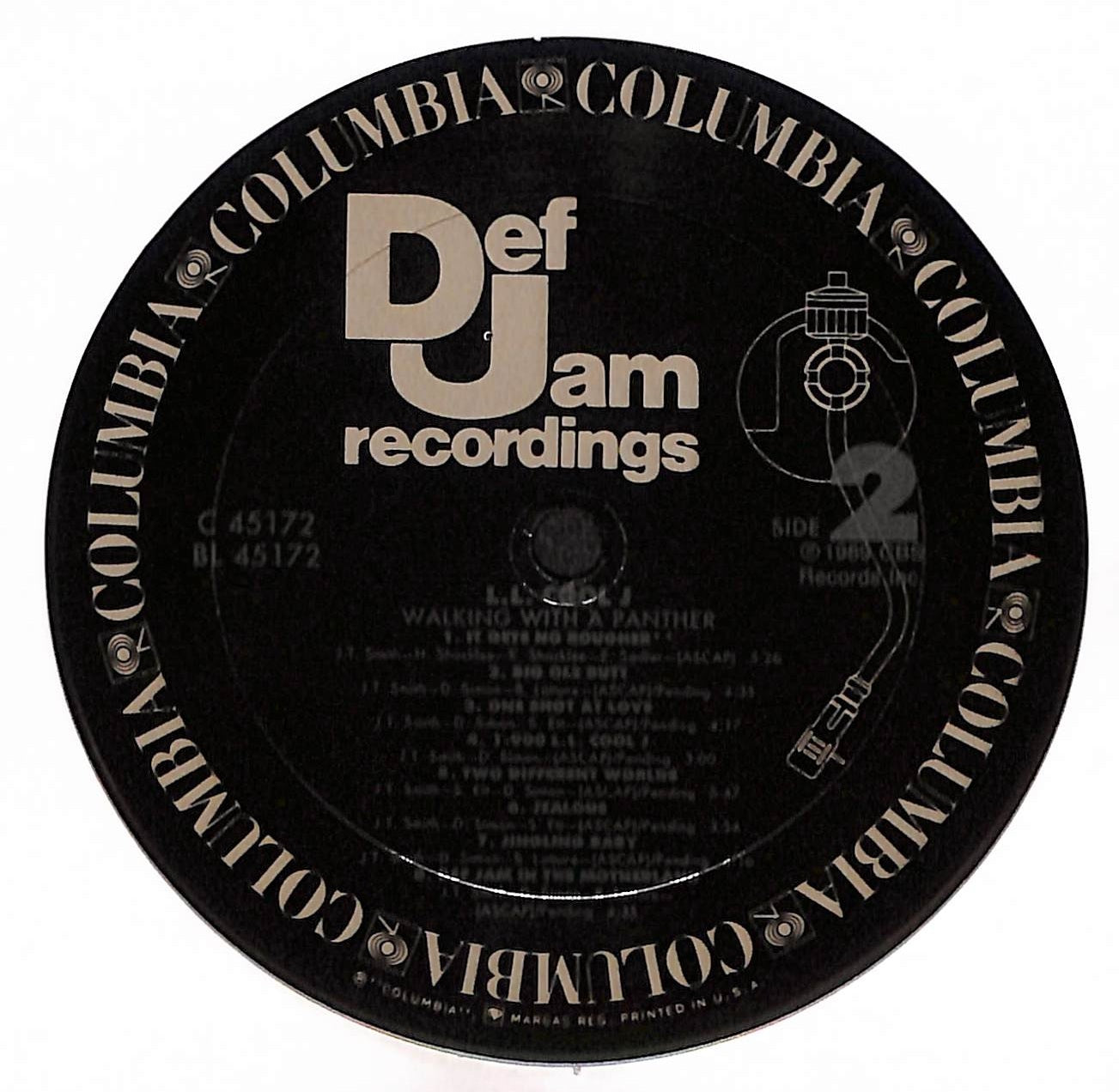 Walking With A Panther