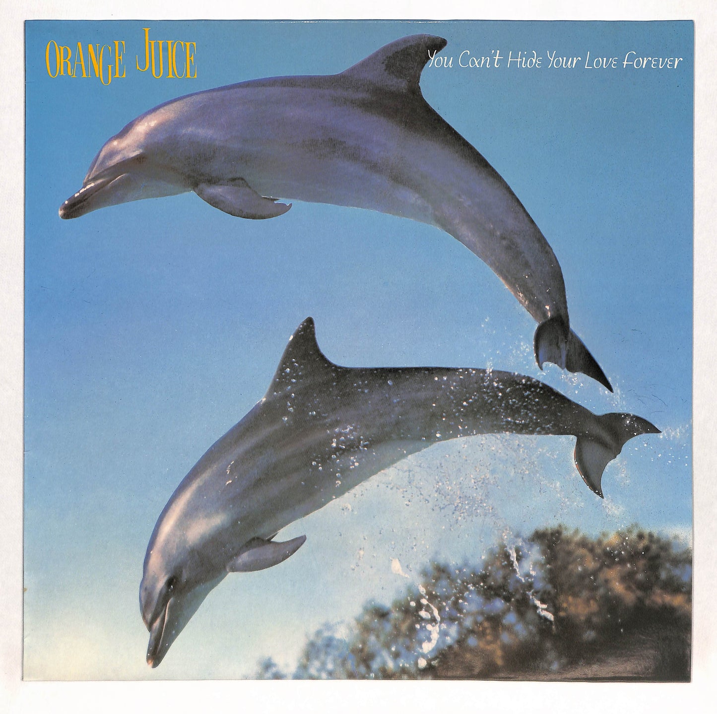 You Can't Hide Your Love Forever