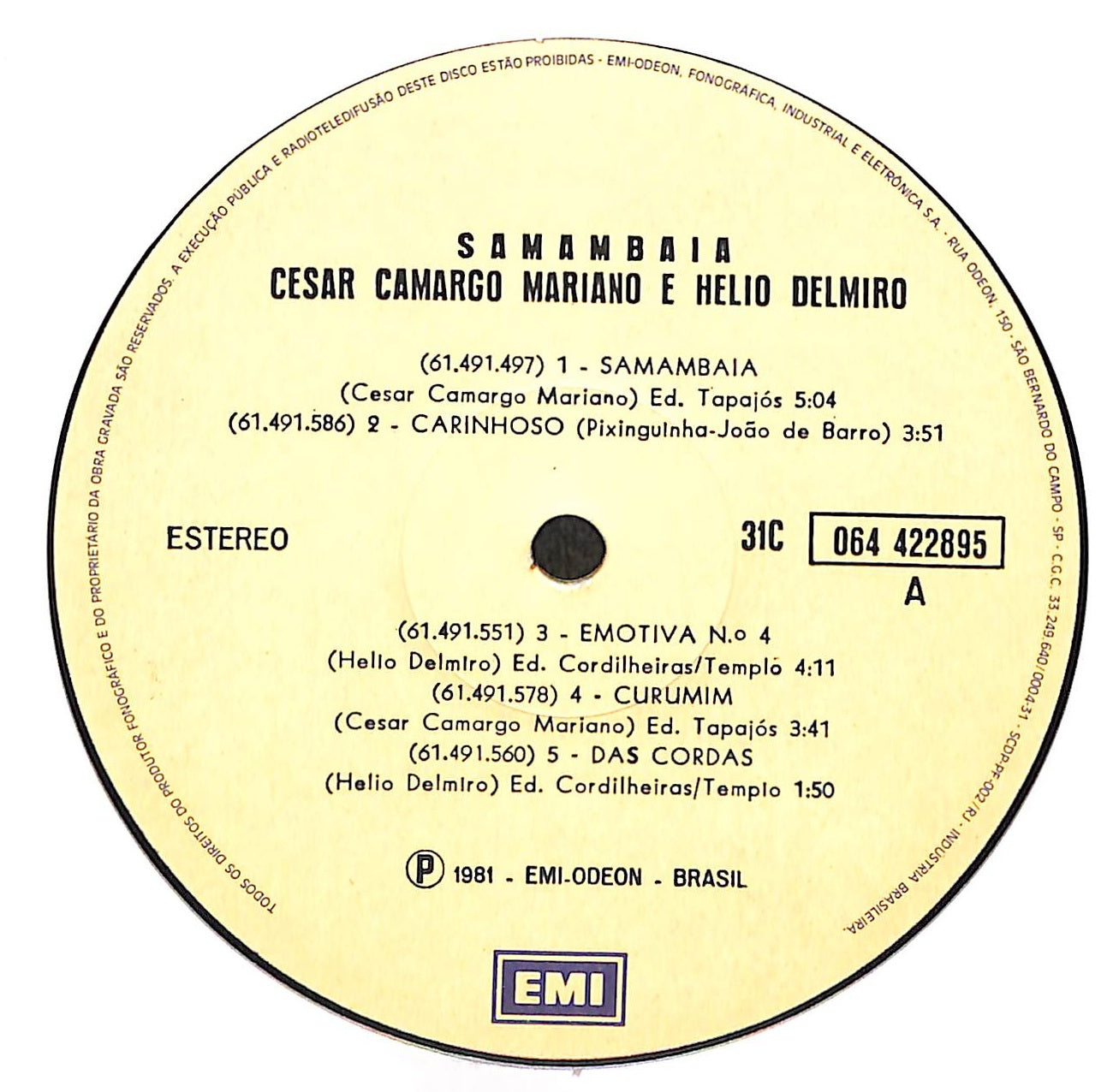 Samambaia