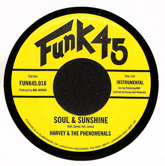 Soul & Sunshine / What Can I Do