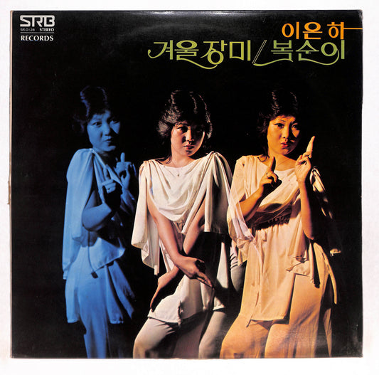 겨울 장미/복순이