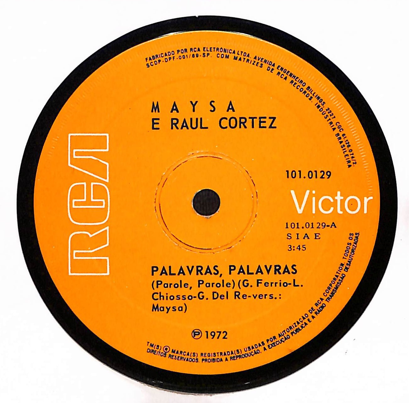 Palavras, Palavras / What Are You Doing The Rest Of Your Life?