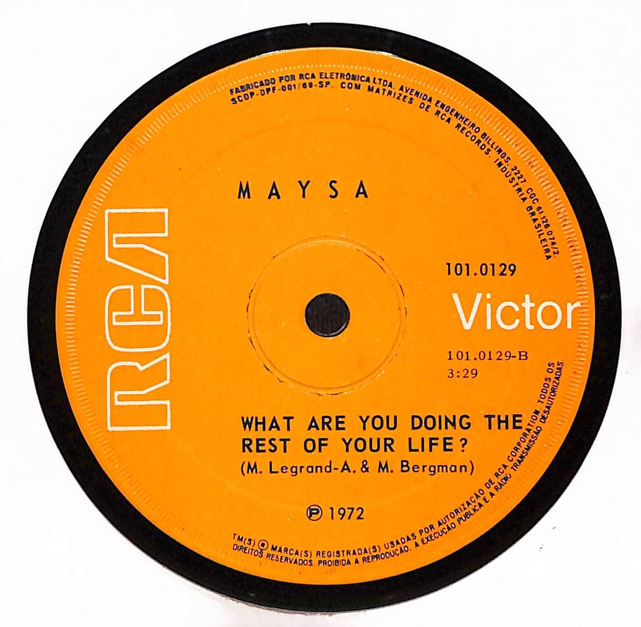 Palavras, Palavras / What Are You Doing The Rest Of Your Life?