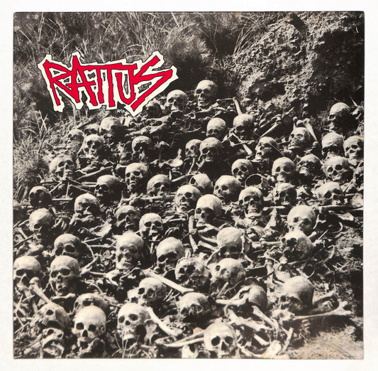 Rattus