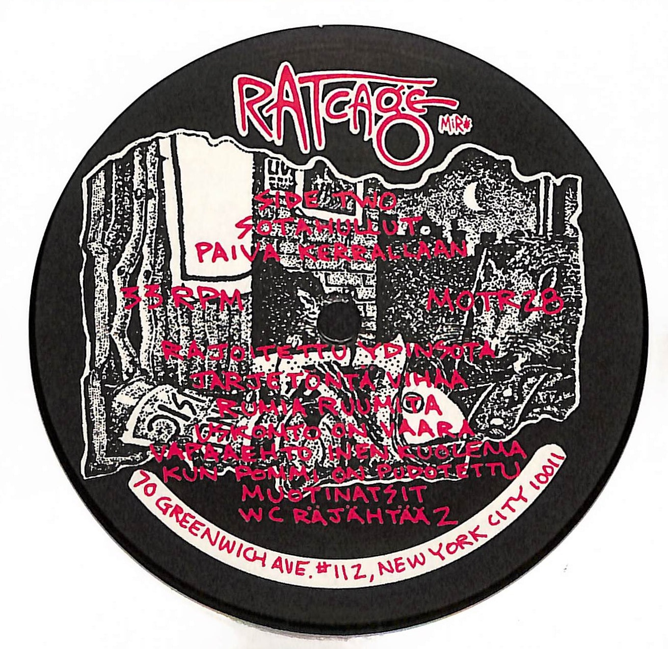 Rattus