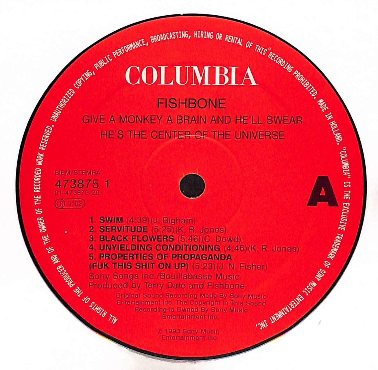 Give A Monkey A Brain…  And He'll Swear He's The Center Of The Universe