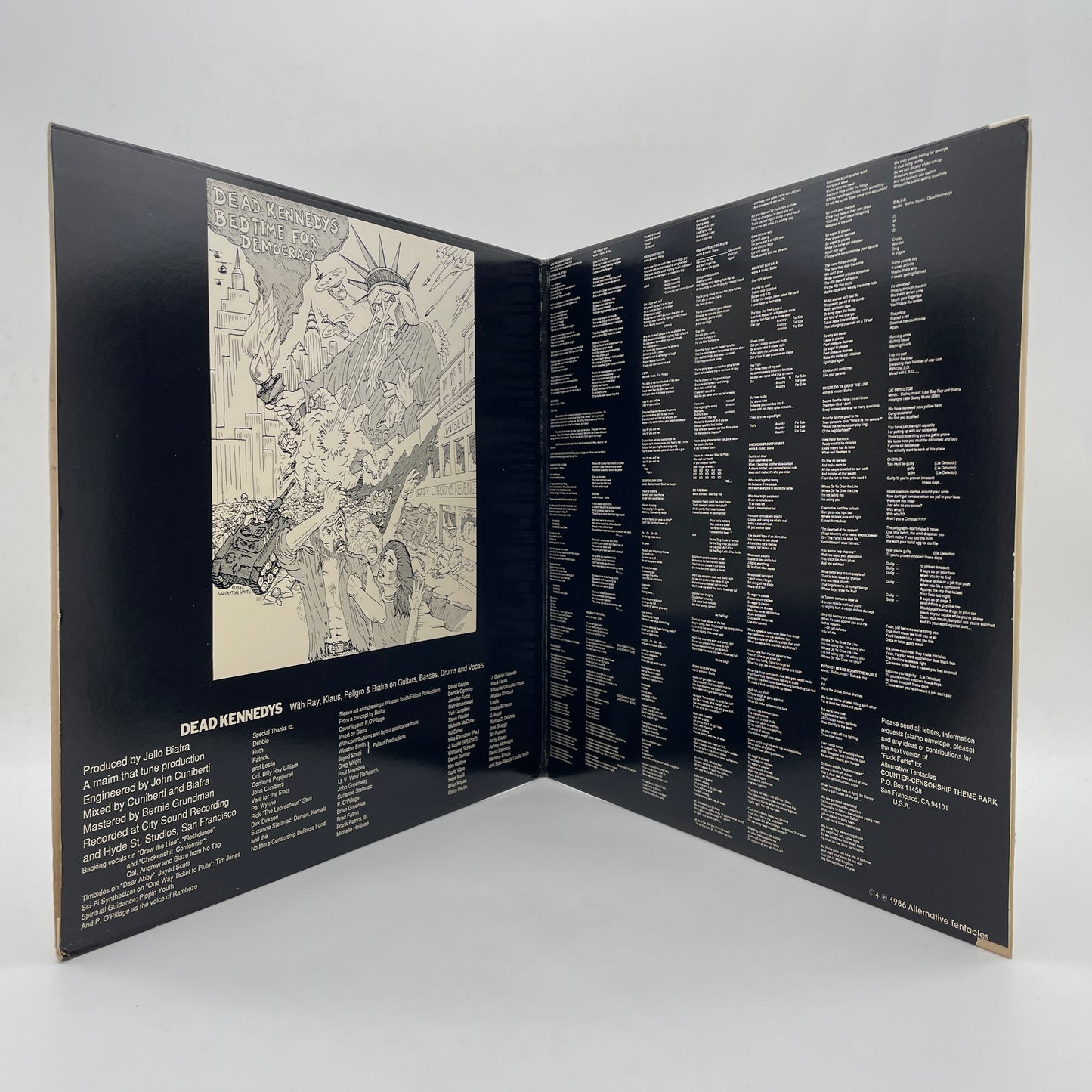 Bedtime For Democracy