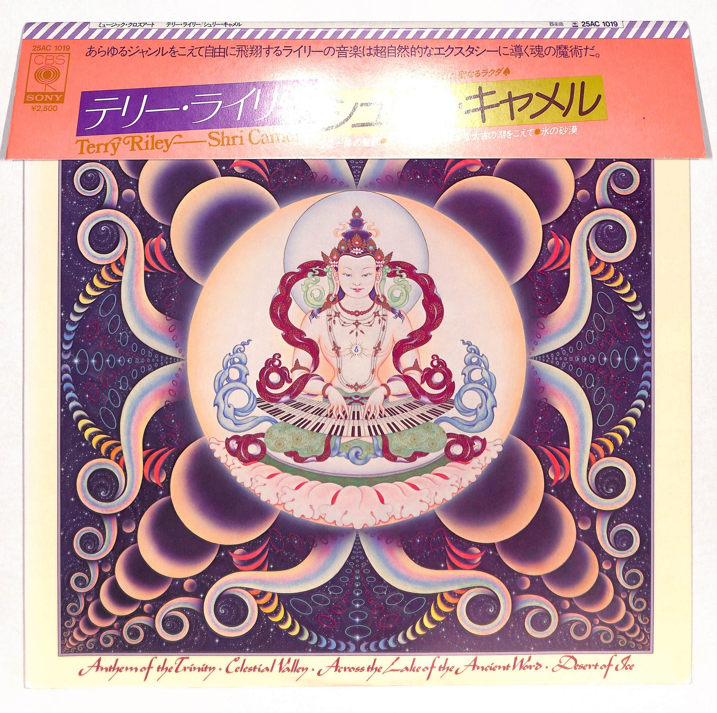Shri Camel