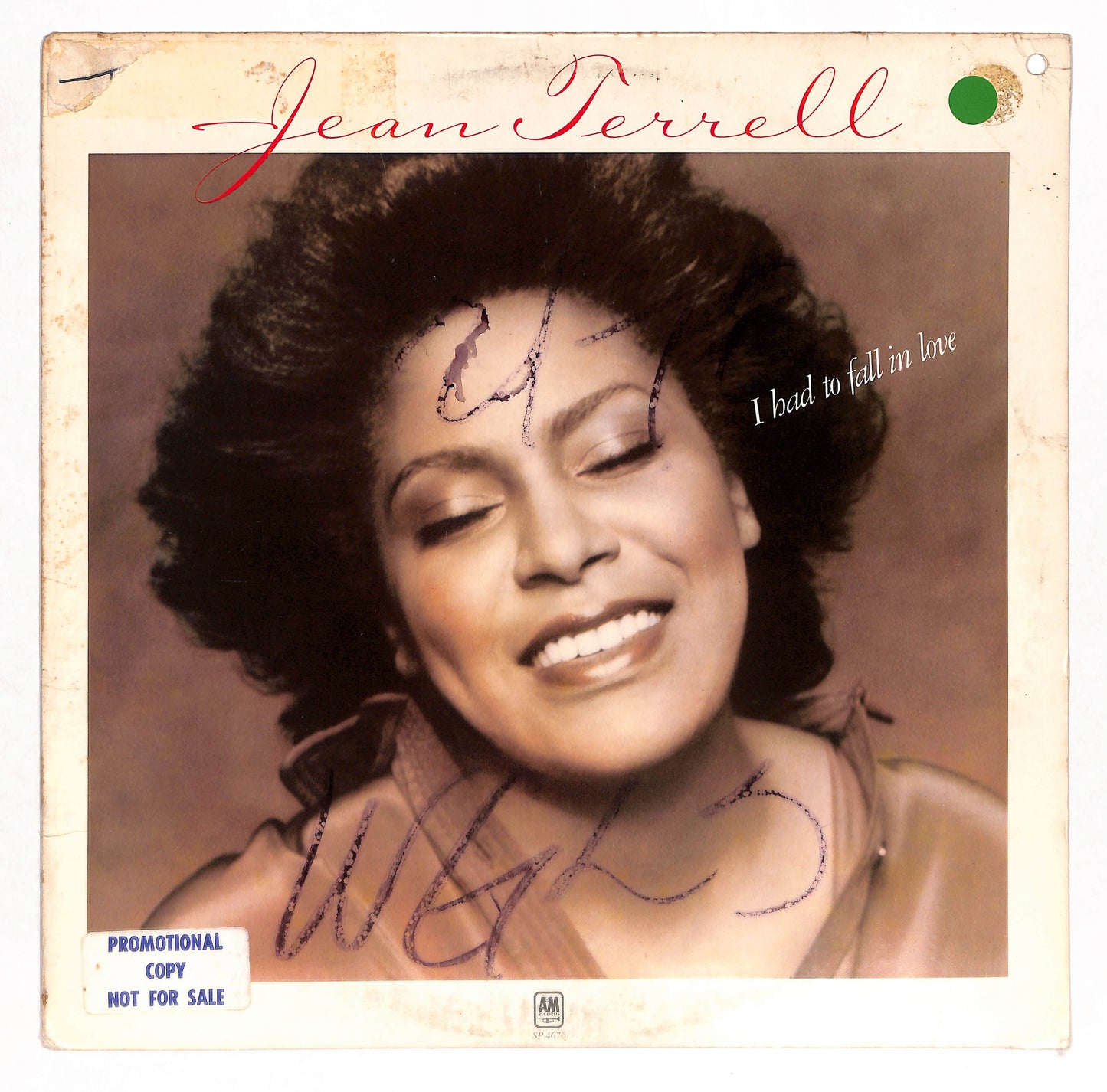 I Had To Fall In Love