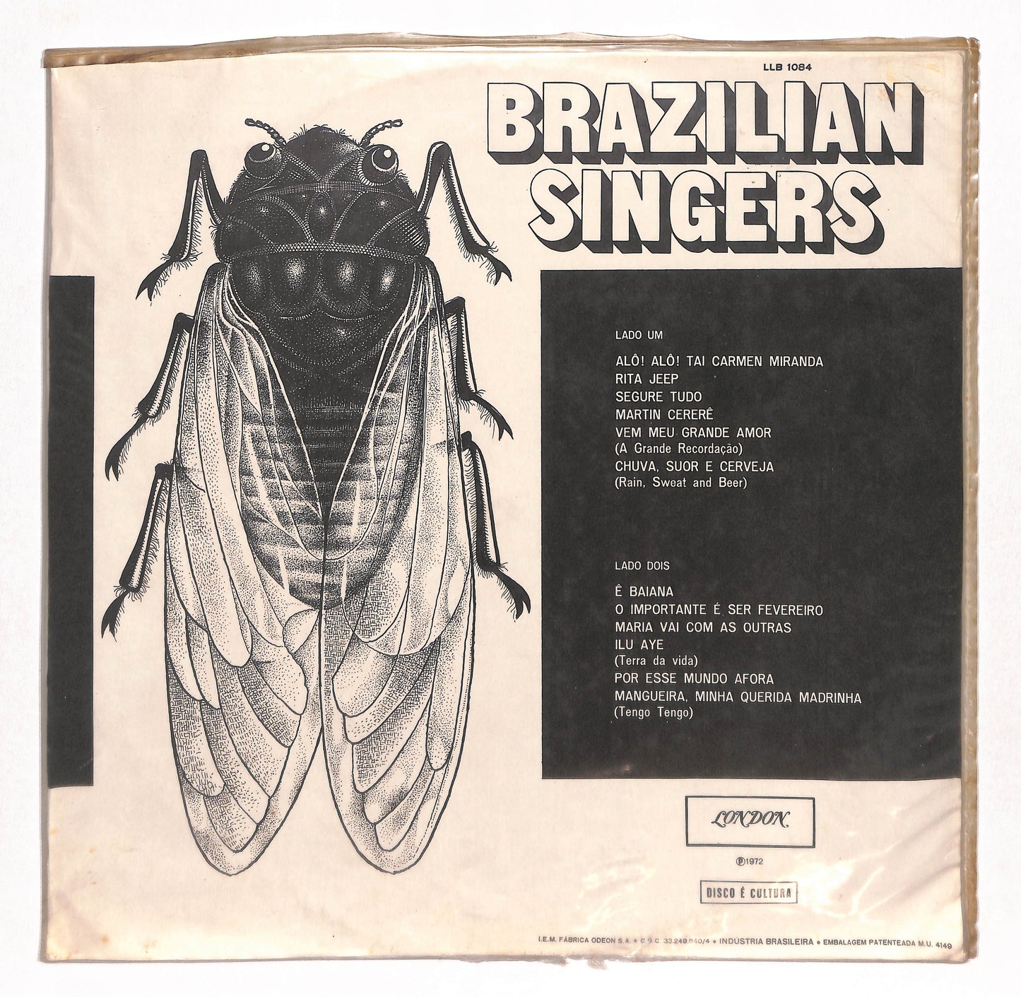 Brazilian Singers