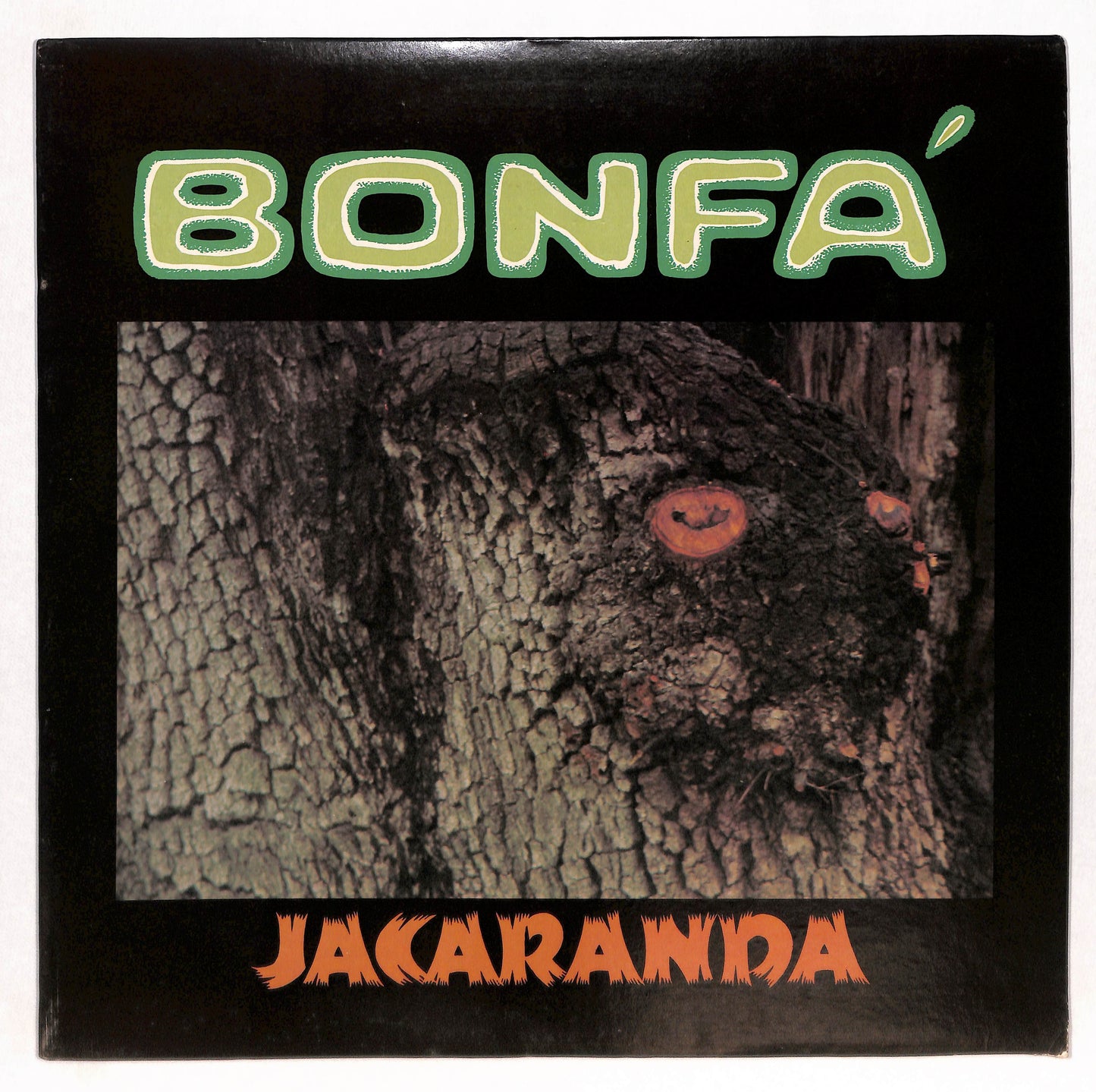 Jacaranda