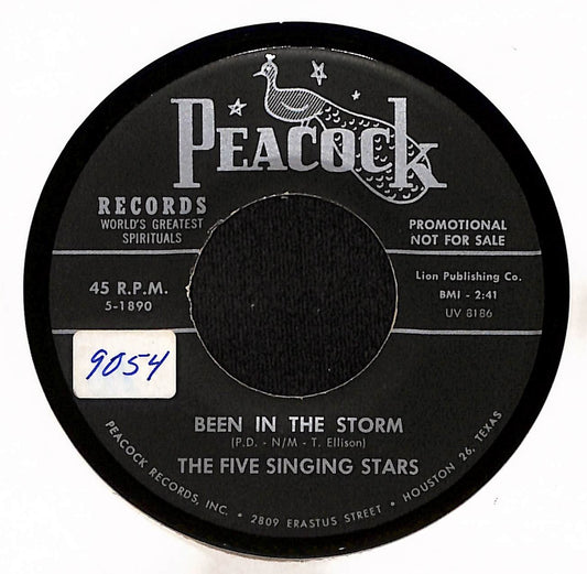 Been In The Storm / Let Me In