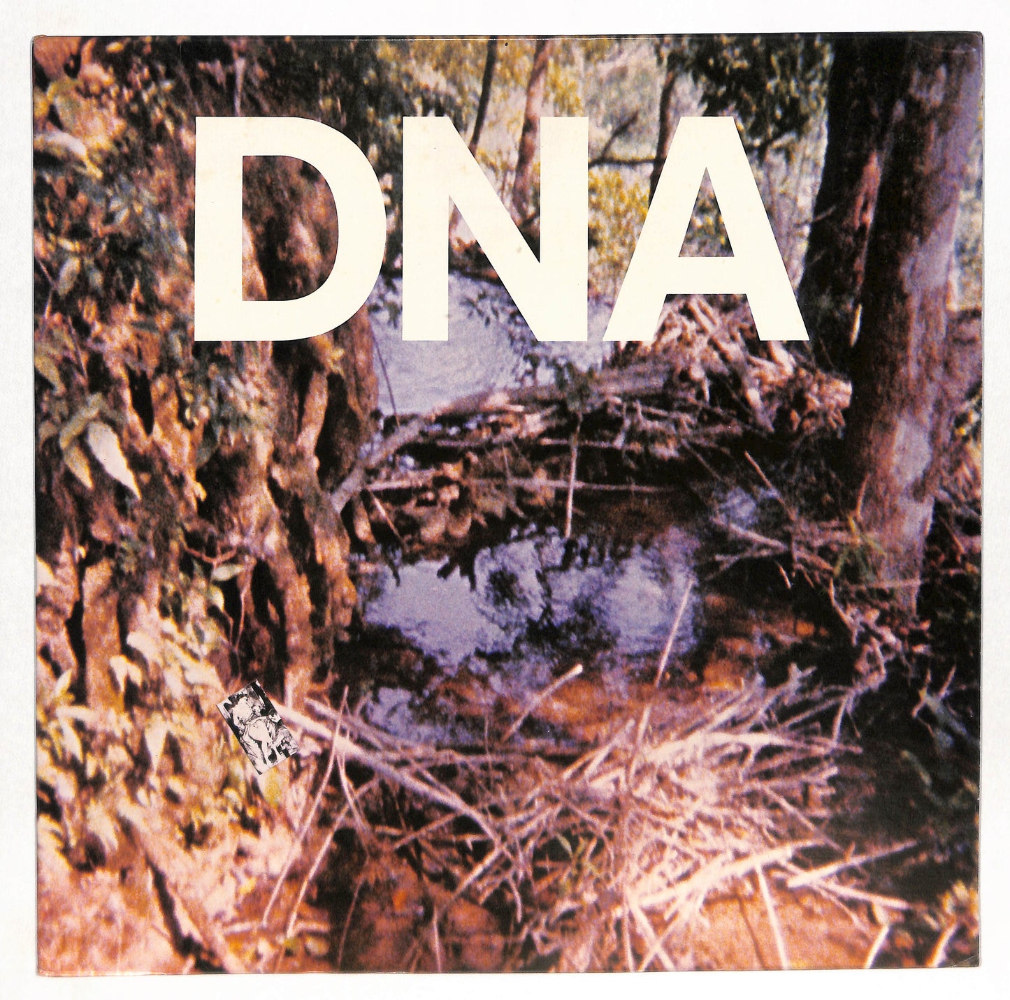 A Taste Of DNA