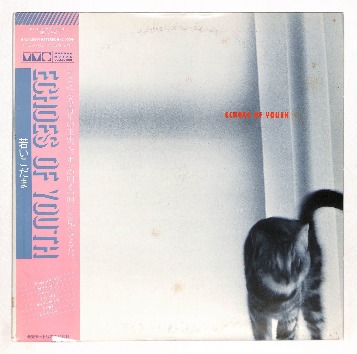 Echoes Of Youth 若いこだま