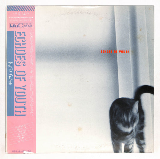 Echoes Of Youth 若いこだま