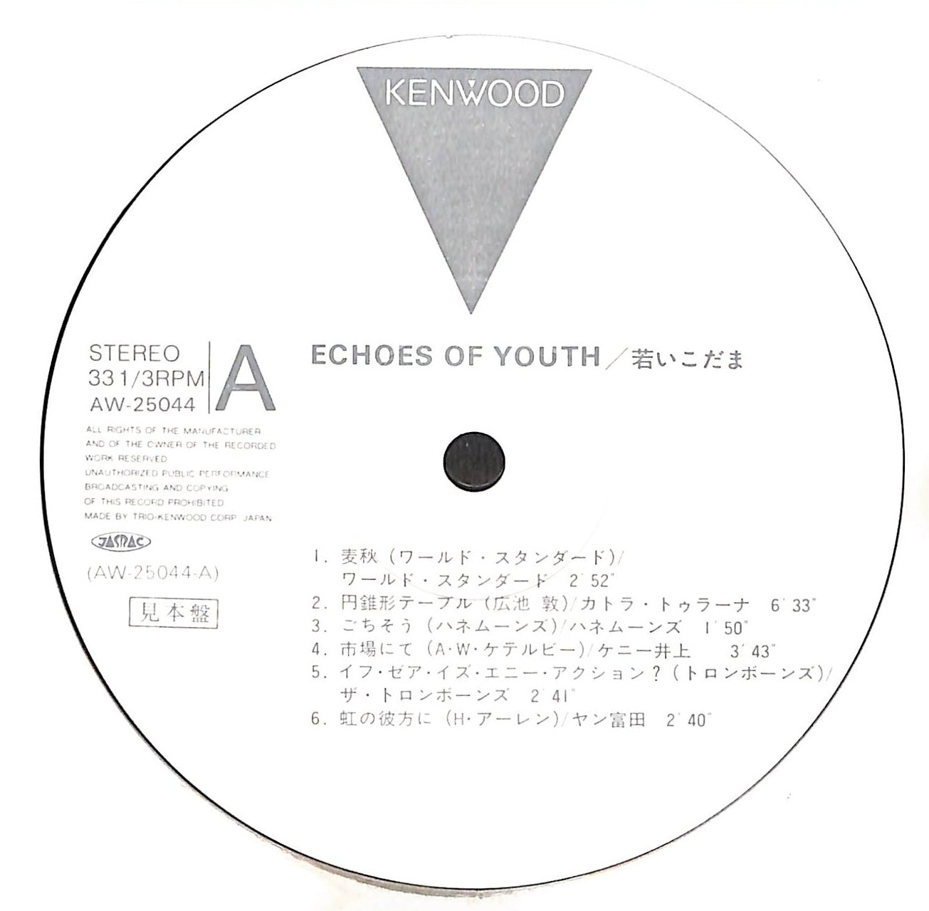 Echoes Of Youth 若いこだま
