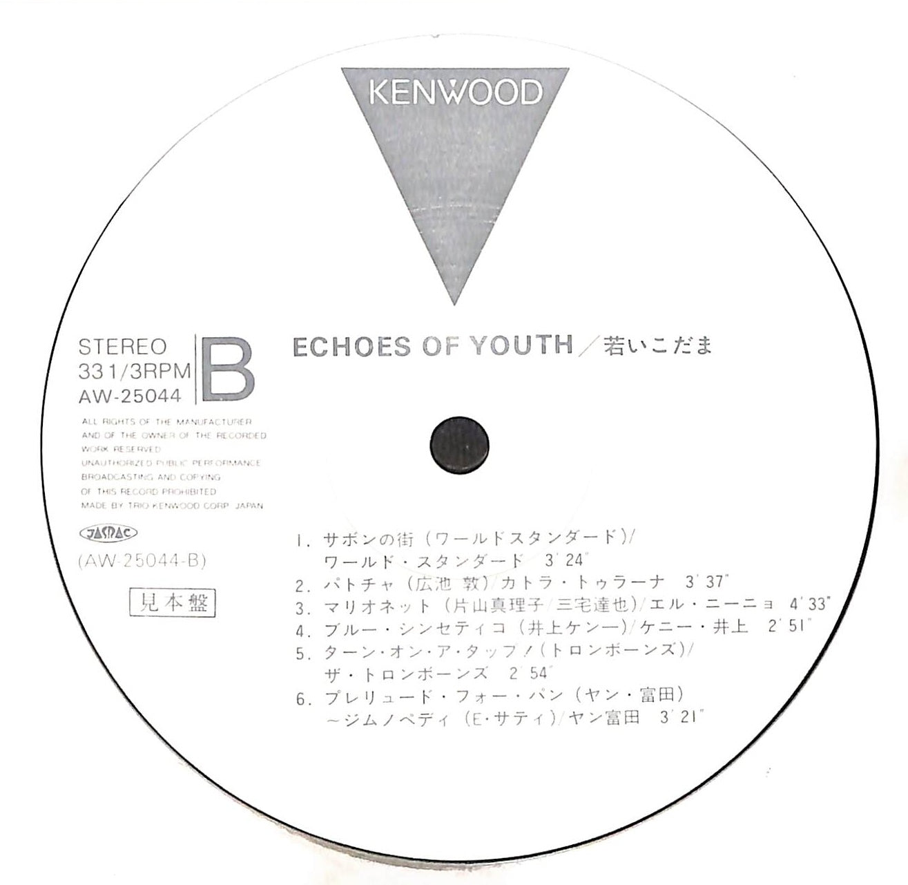 Echoes Of Youth 若いこだま