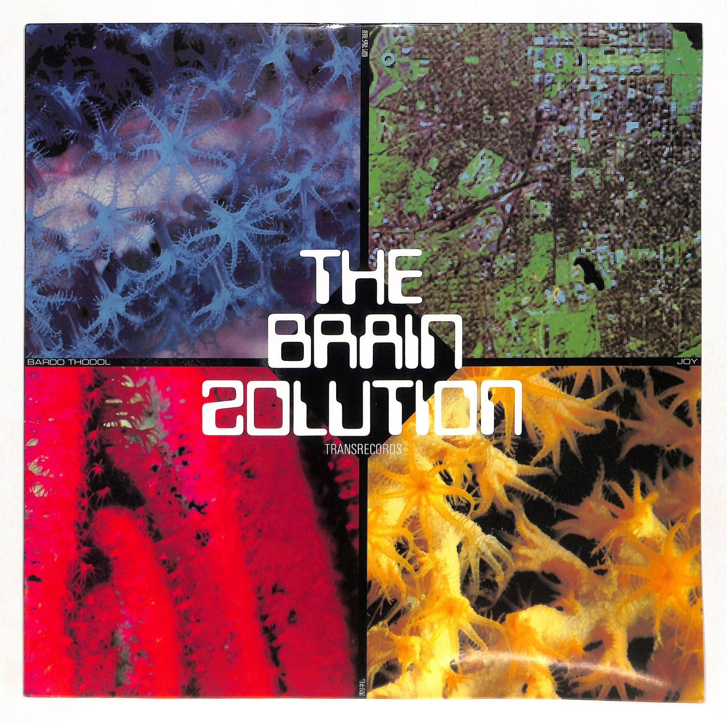 The Brain Solution