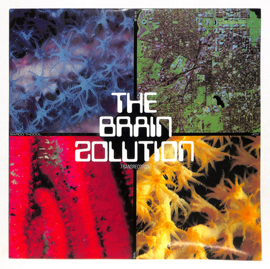The Brain Solution