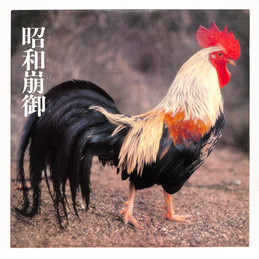 Lingua Franca-X