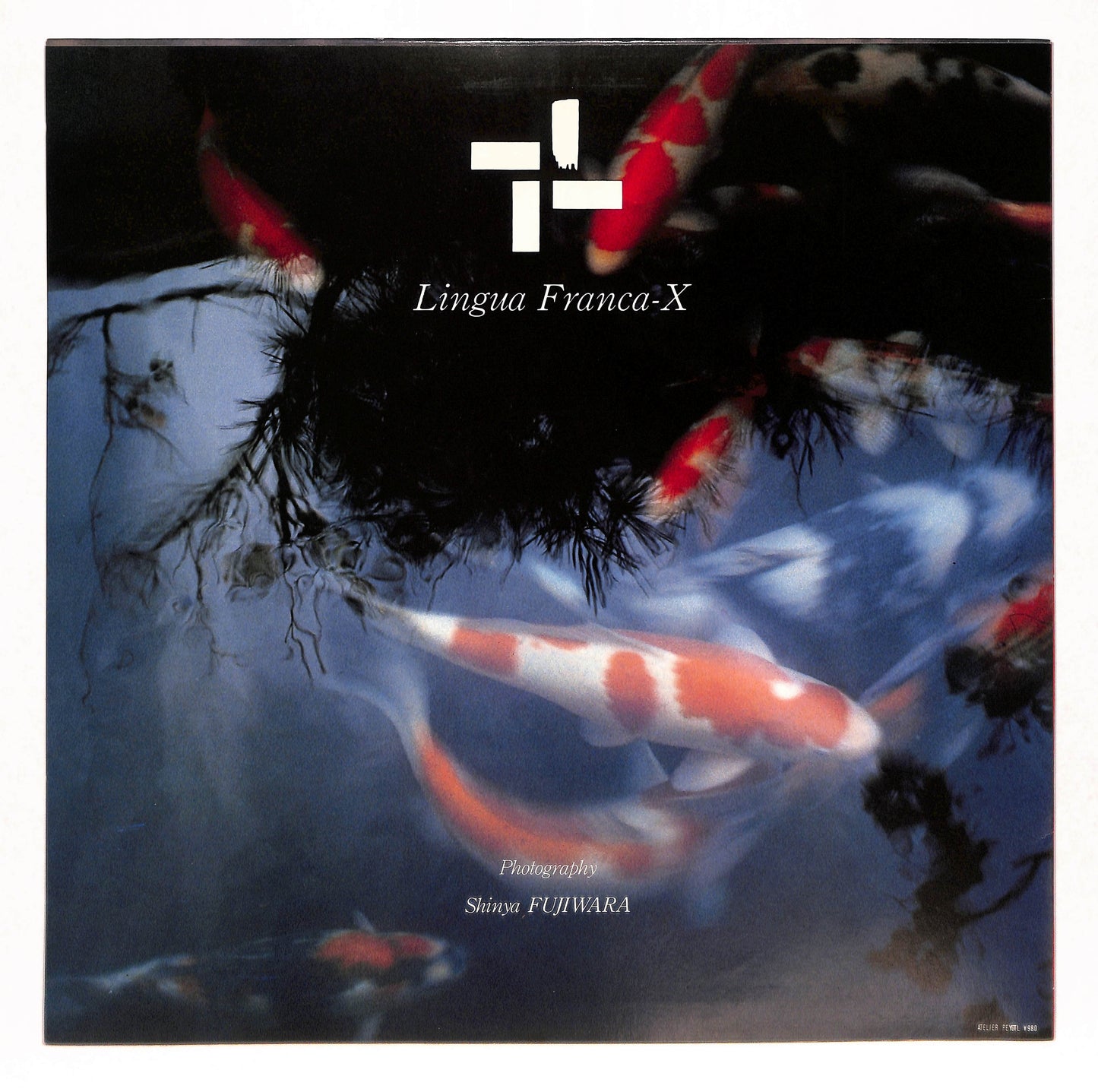 Lingua Franca-X