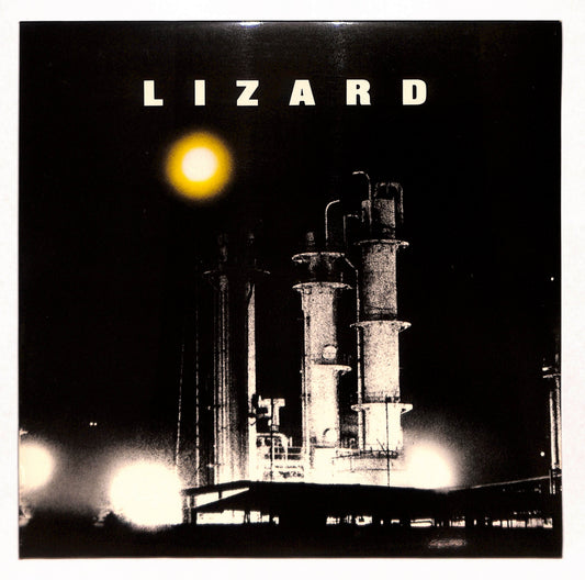 Lizard