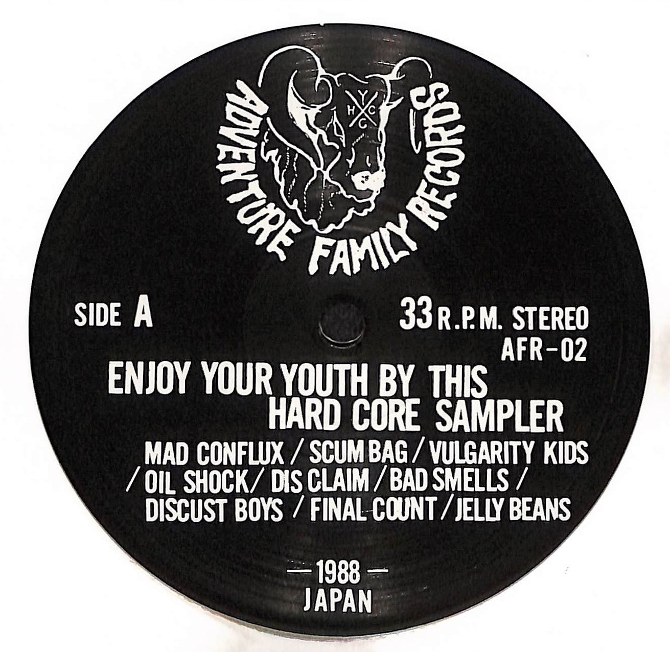 Enjoy Your Youth By This Hardcore Sampler