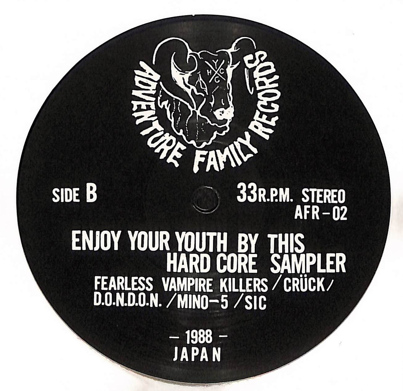 Enjoy Your Youth By This Hardcore Sampler
