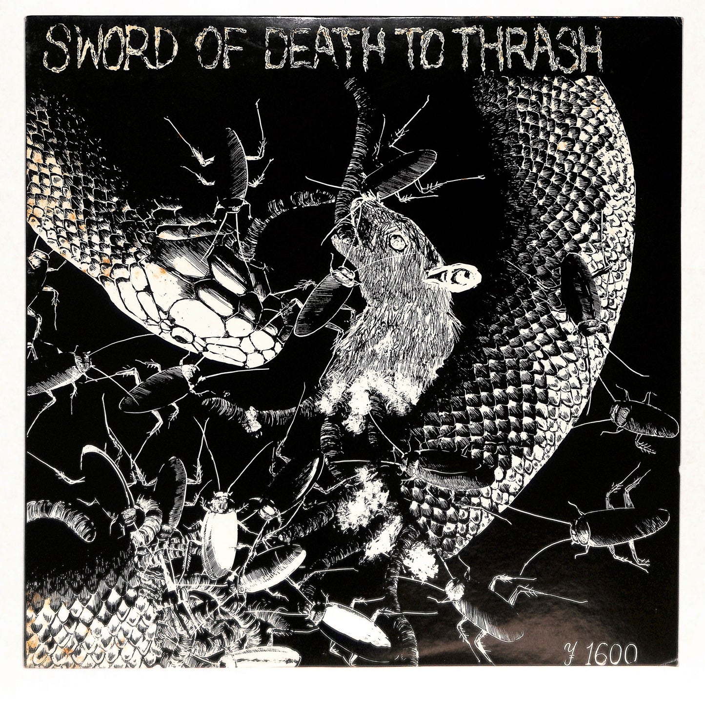 Sword Of Death To Thrash