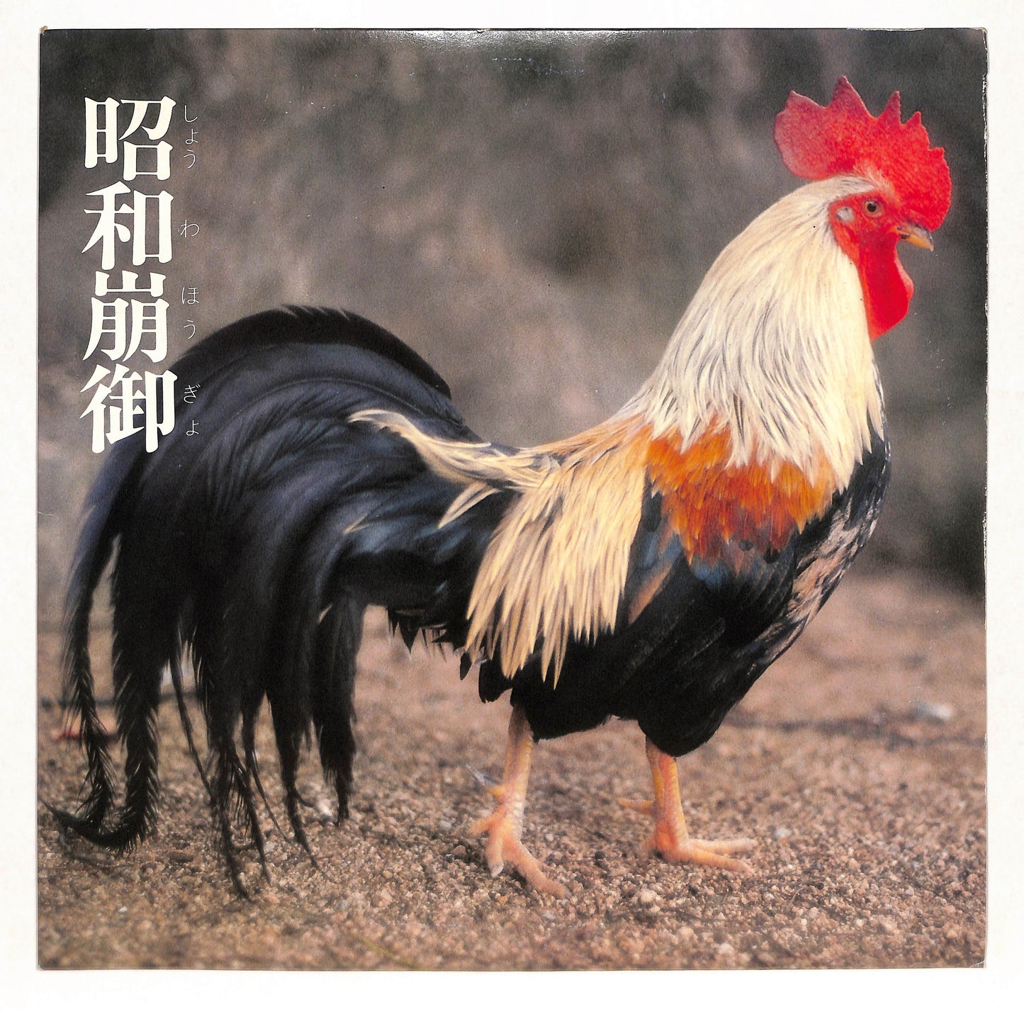 Lingua Franca-X