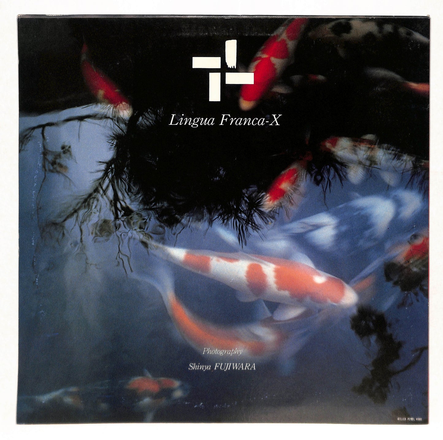 Lingua Franca-X