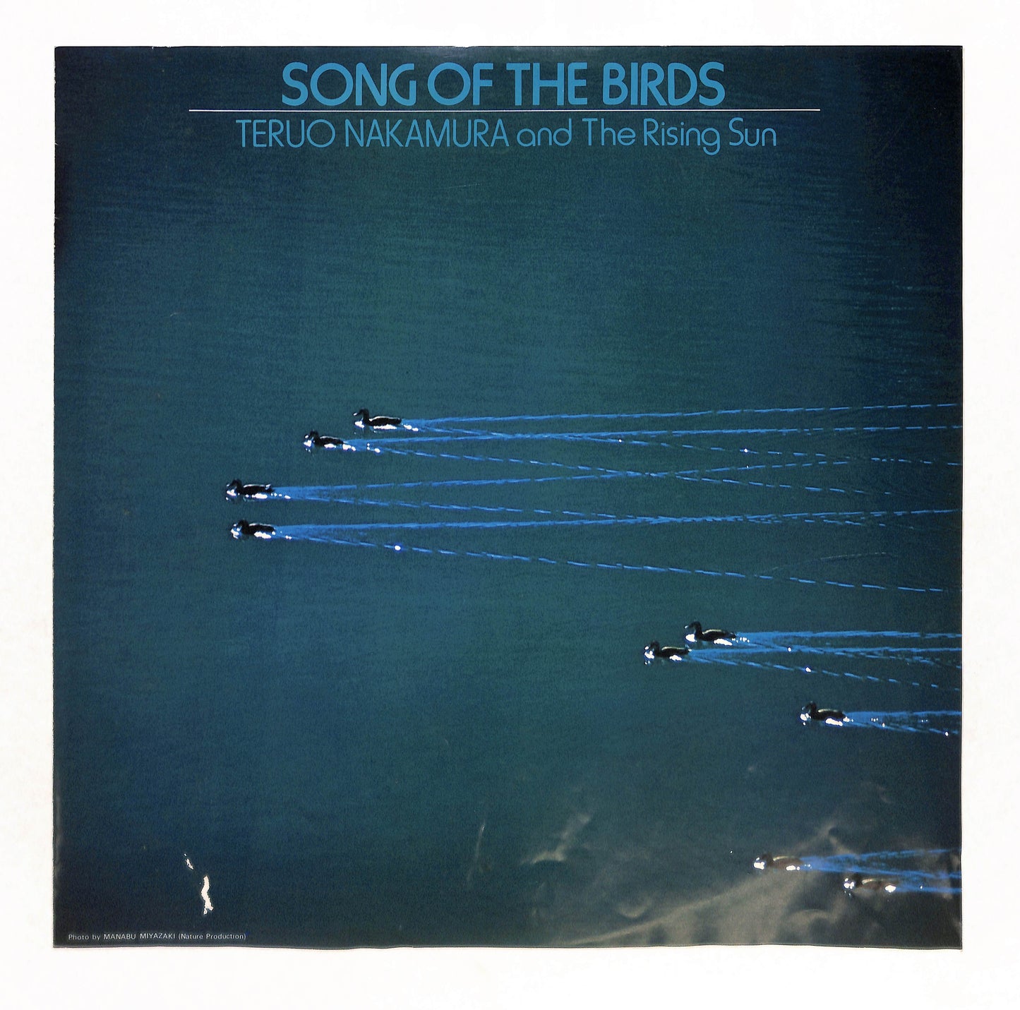 Song Of The Birds