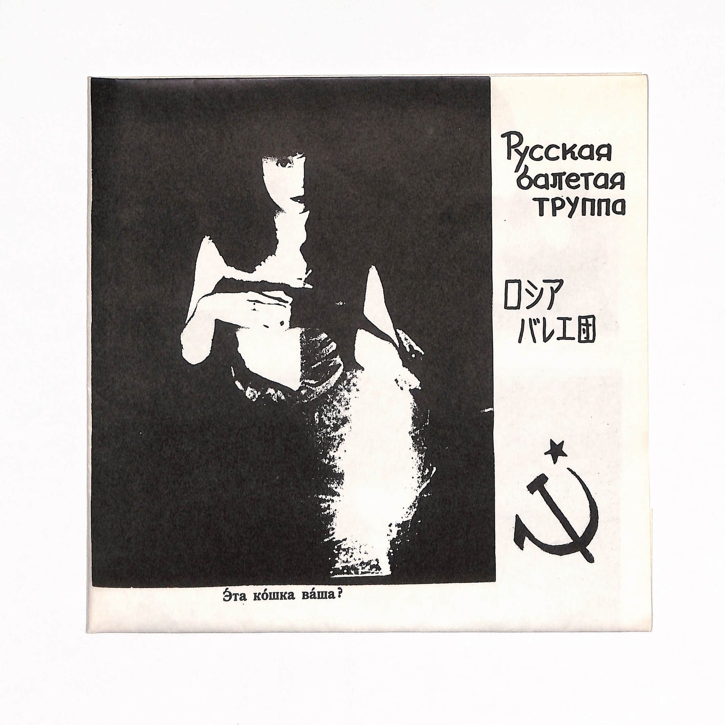Эта кошка ваша?