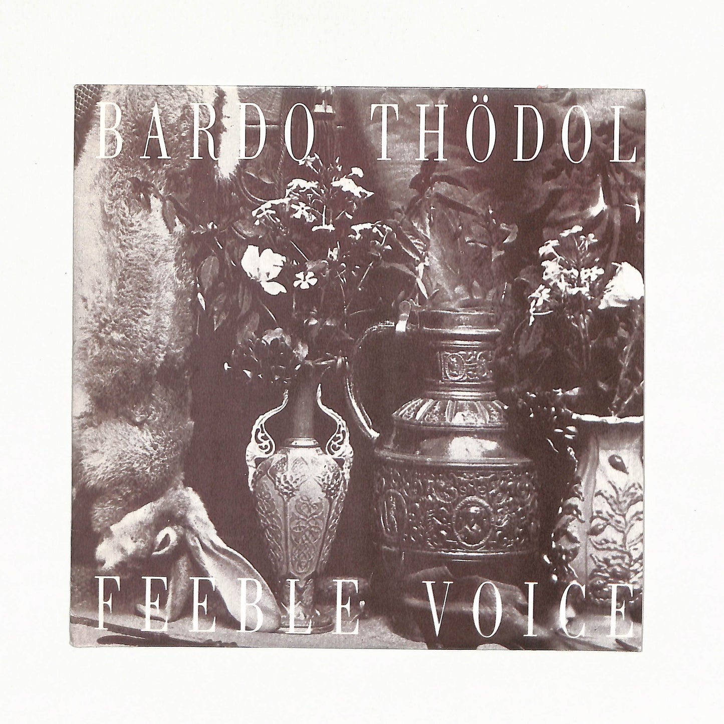 Feeble Voice