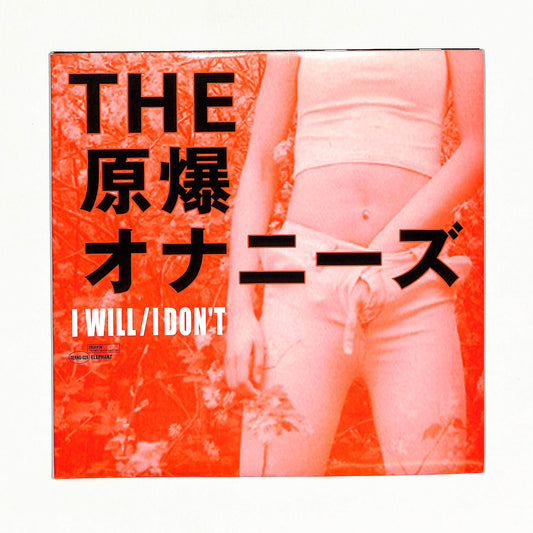 I Will / I Don't