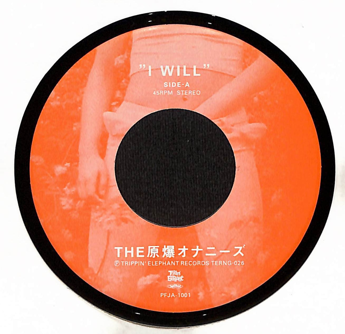 I Will / I Don't