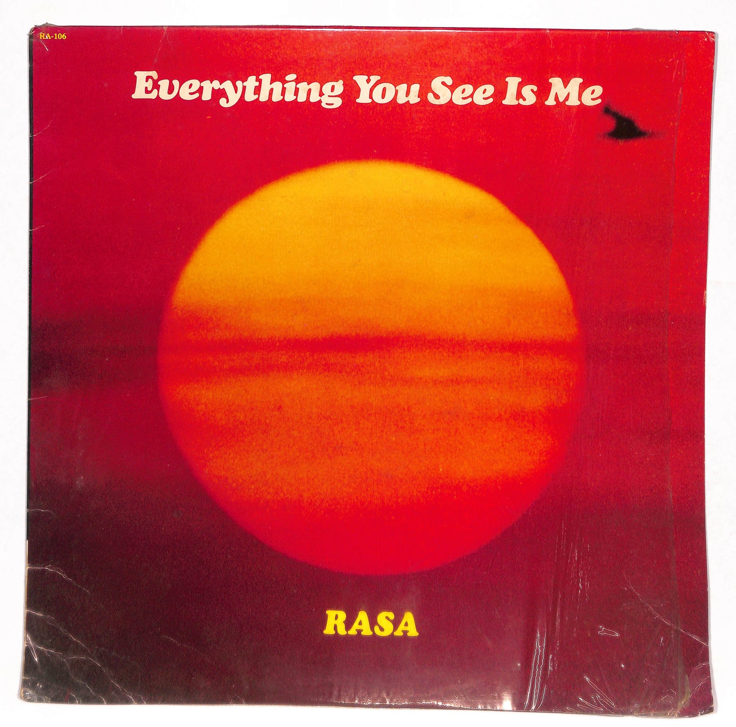 Everything You See Is Me