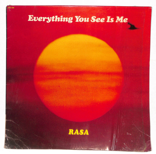 Everything You See Is Me
