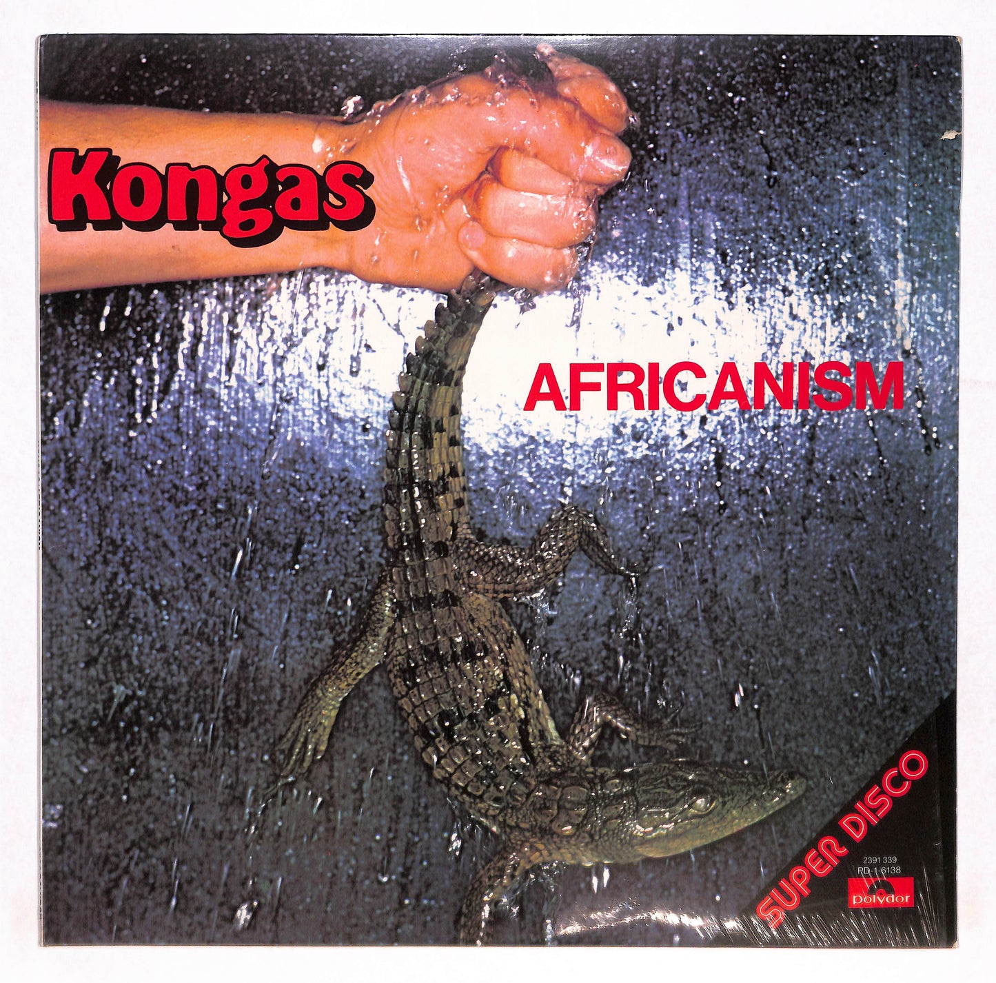 Africanism