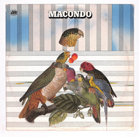 Macondo