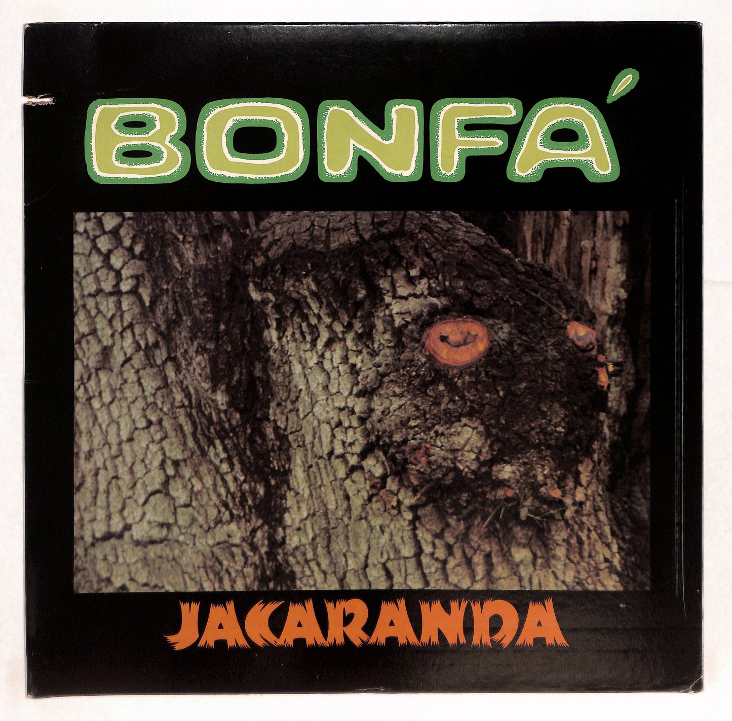 Jacaranda