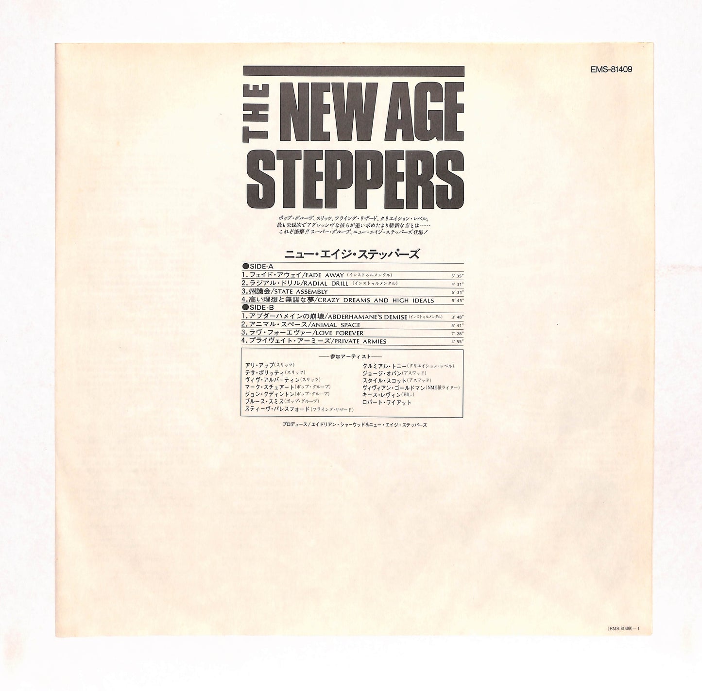 The New Age Steppers