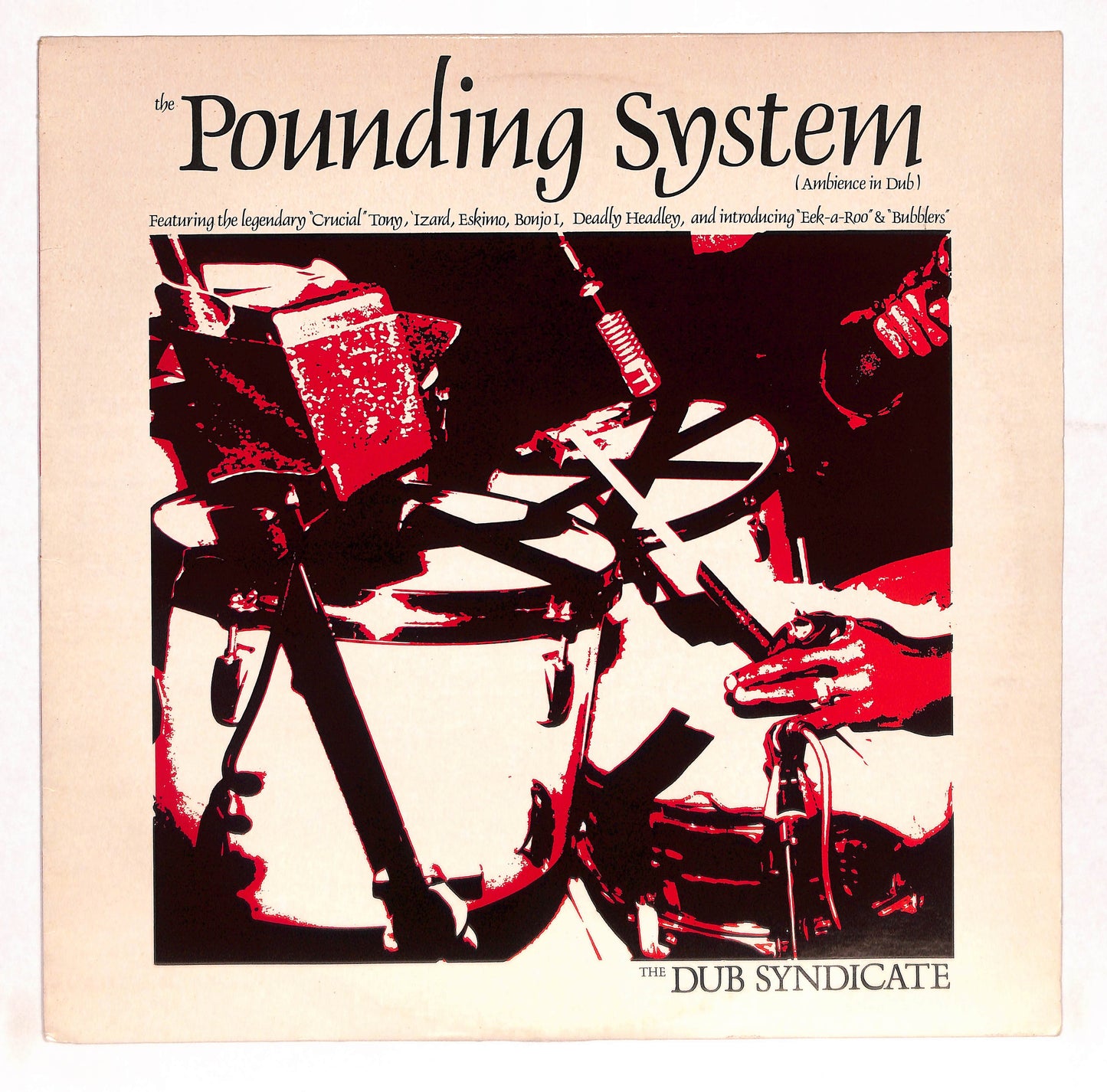 The Pounding System (Ambience In Dub)
