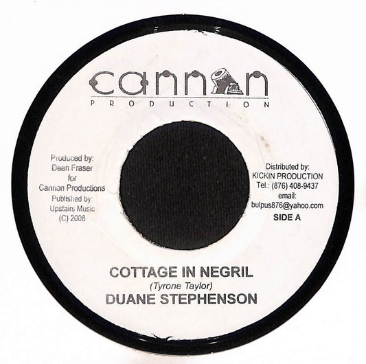 Cottage In Negril / Without You