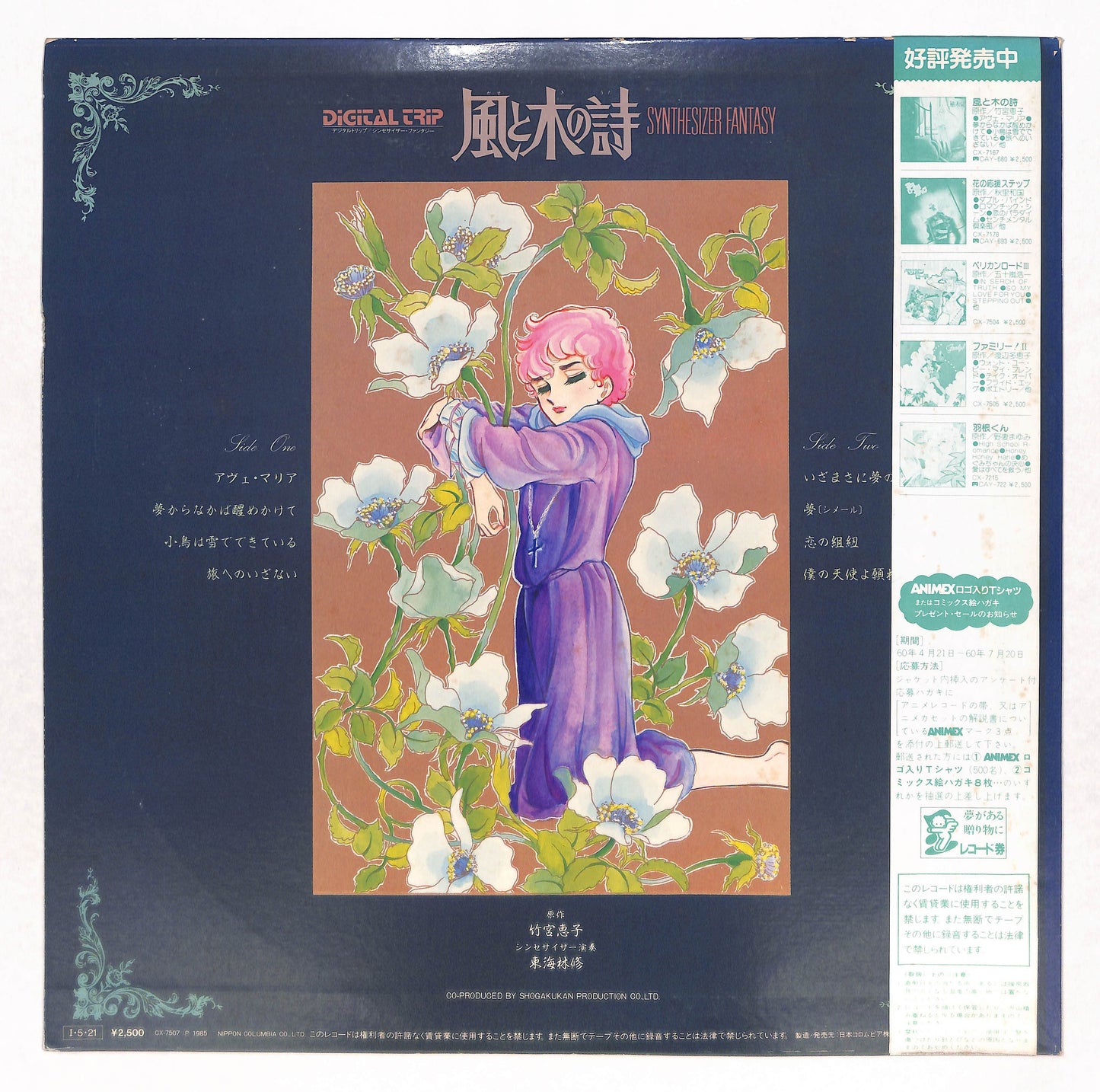 風と木の詩 シンセサイザー・ファンタジー